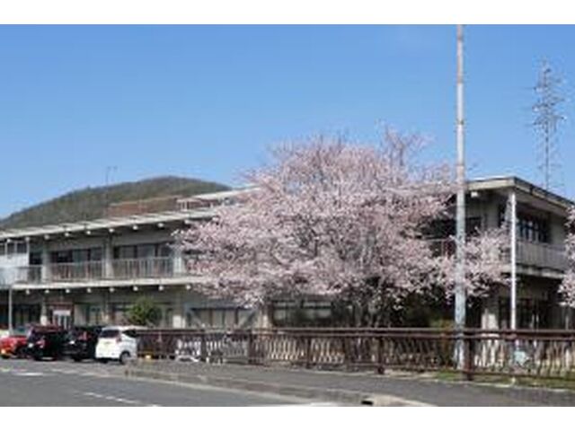 桜と建物_800x533